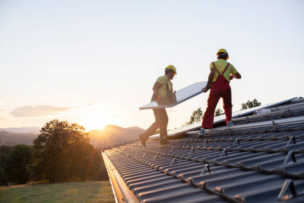 Roof Moss and Algae Removal in Miami Lakes, FL